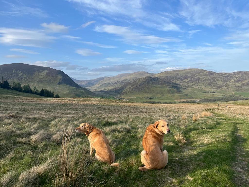 Gulabin Lodge Glenshee Eksteriør bilde